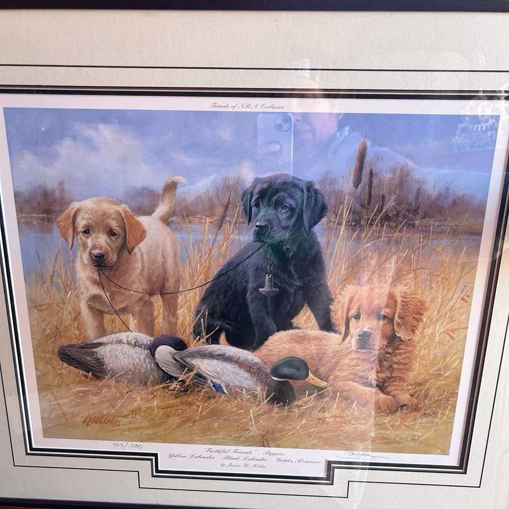 Jim Killen Faithful Friends Puppies Signed 503/1000 Friends NRA Framed Print - Picture 3 of 6